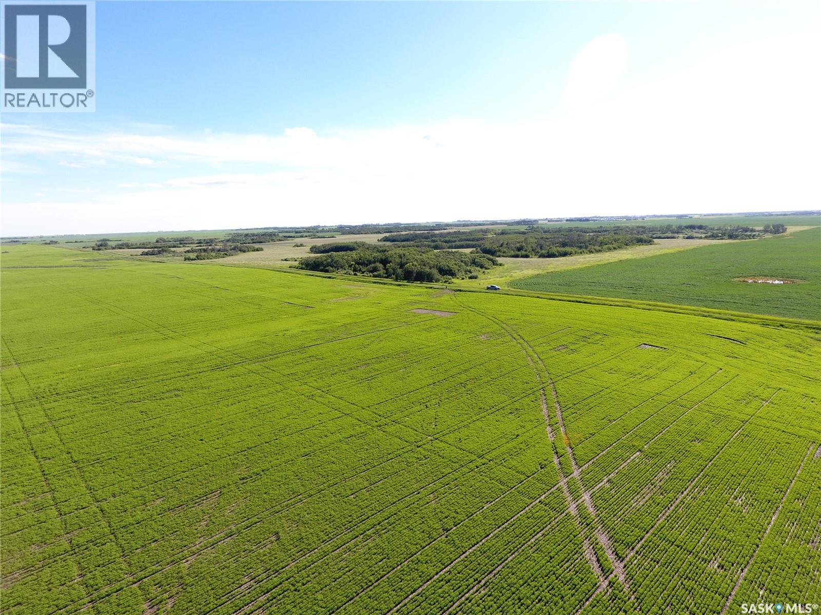 Neels Land, Francis Rm No. 127, Saskatchewan S0G 3S0 - Photo 24 - SK041609