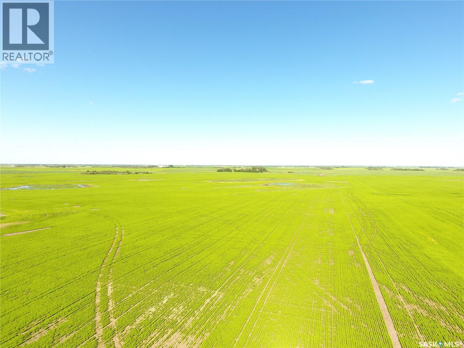 Neels Land, Francis Rm No. 127, Saskatchewan S0G 3S0 - Photo 5 - SK041609
