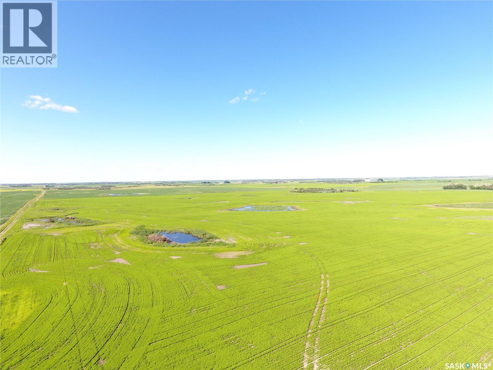 Neels Land, Francis Rm No. 127, Saskatchewan S0G 3S0 - Photo 6 - SK041609