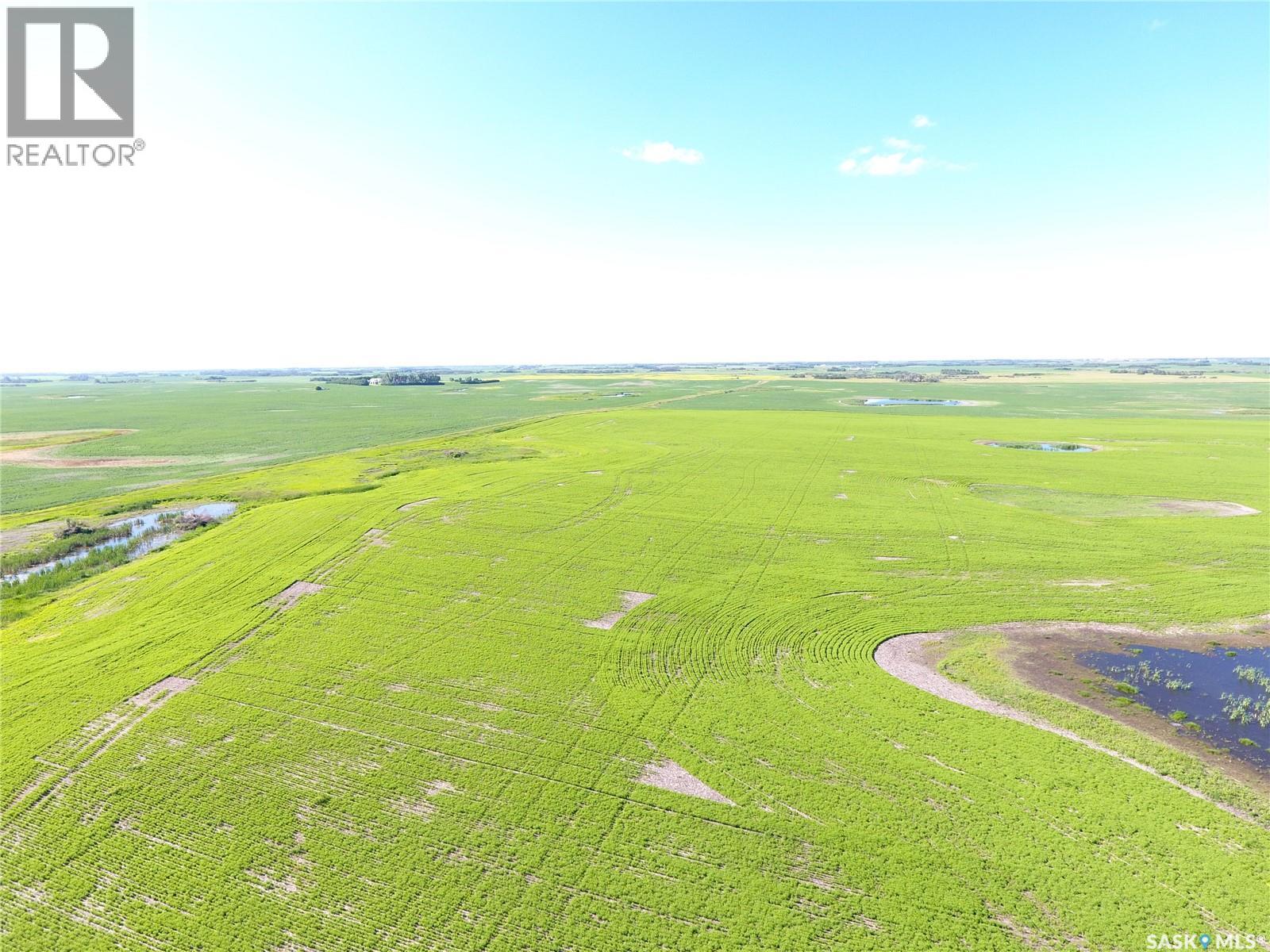 Neels Land, Francis Rm No. 127, Saskatchewan S0G 3S0 - Photo 8 - SK041609