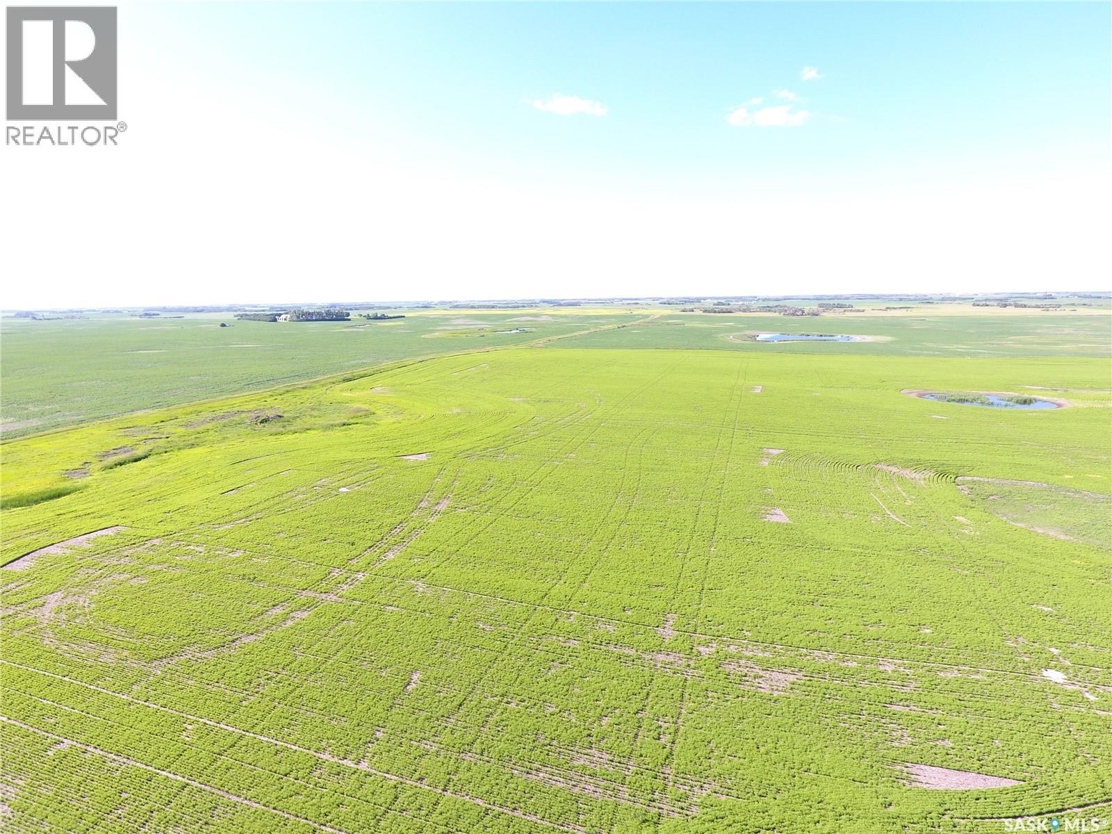 Neels Land, Francis Rm No. 127, Saskatchewan S0G 3S0 - Photo 9 - SK041609