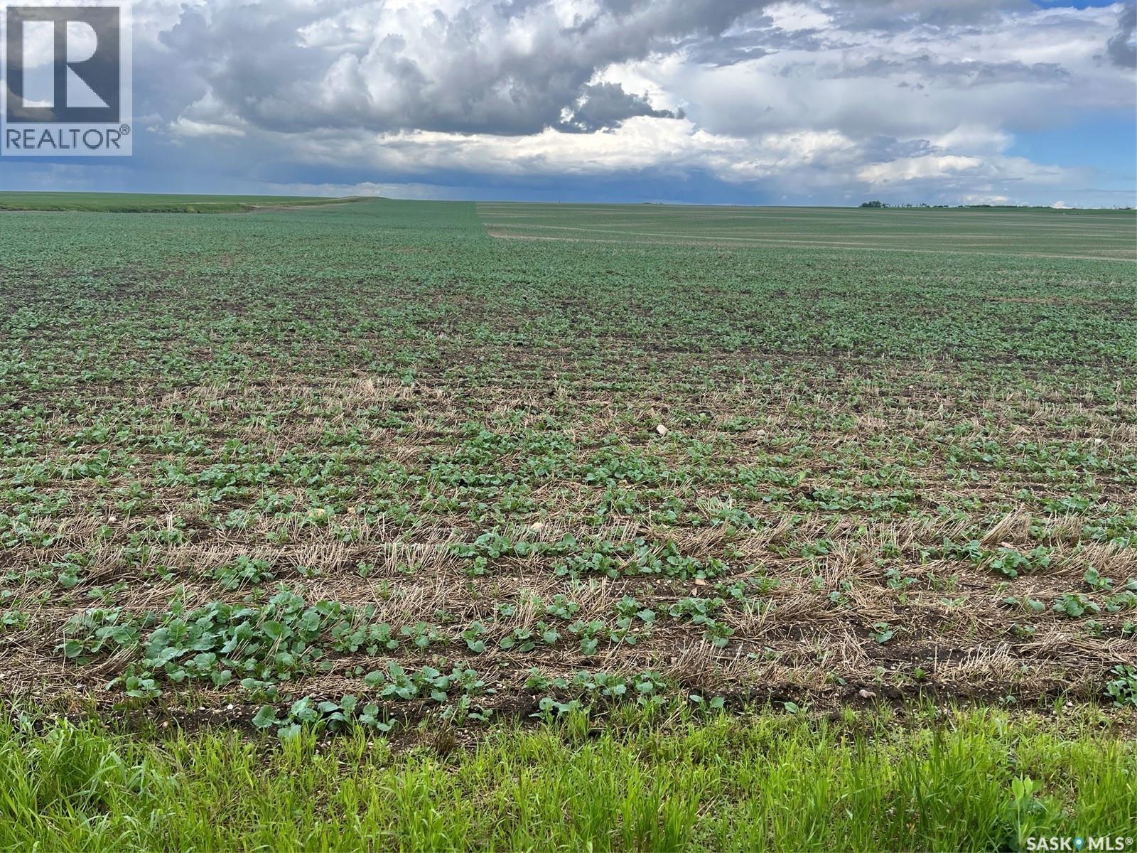 Balon Farm R.m. # 401-237 Acres, Wakaw, Saskatchewan S0K 4P0 - Photo 4 - SK041737