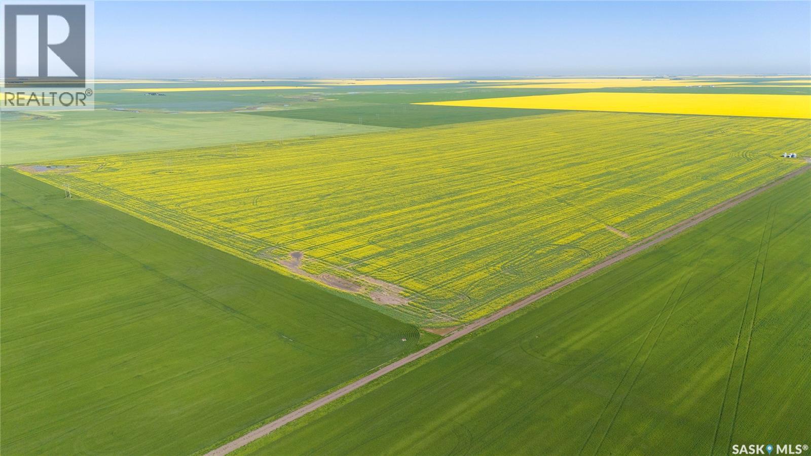 8 Quarters Premium Grainland Near Lewvan (Reimer), Scott Rm No. 98, Saskatchewan S0G 0S0 - Photo 10 - SK042413