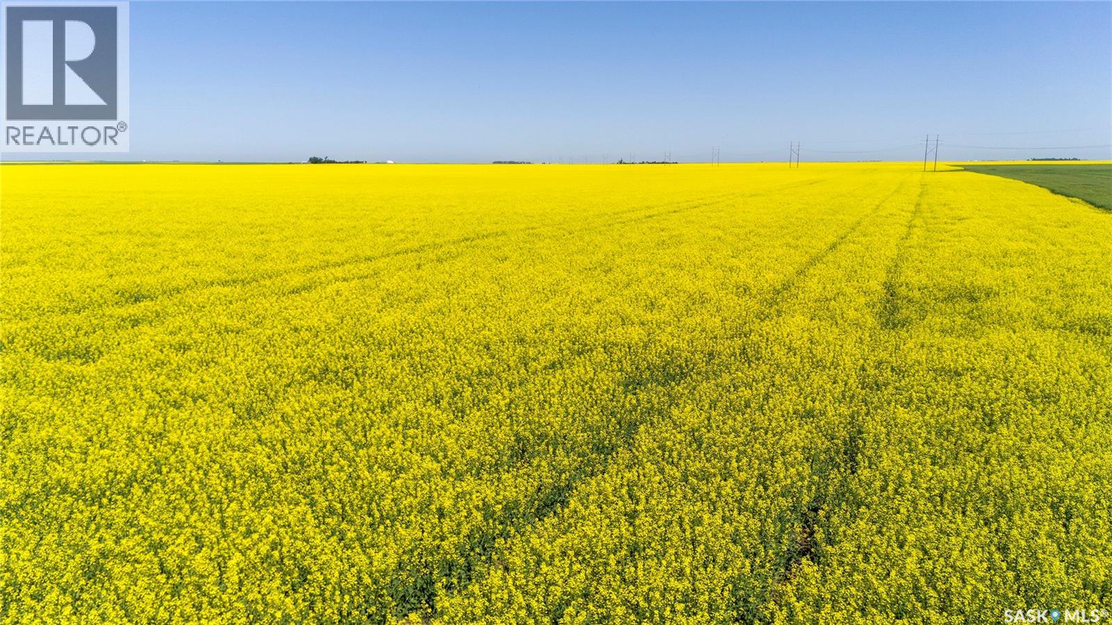 8 Quarters Premium Grainland Near Lewvan (Reimer), Scott Rm No. 98, Saskatchewan S0G 0S0 - Photo 11 - SK042413