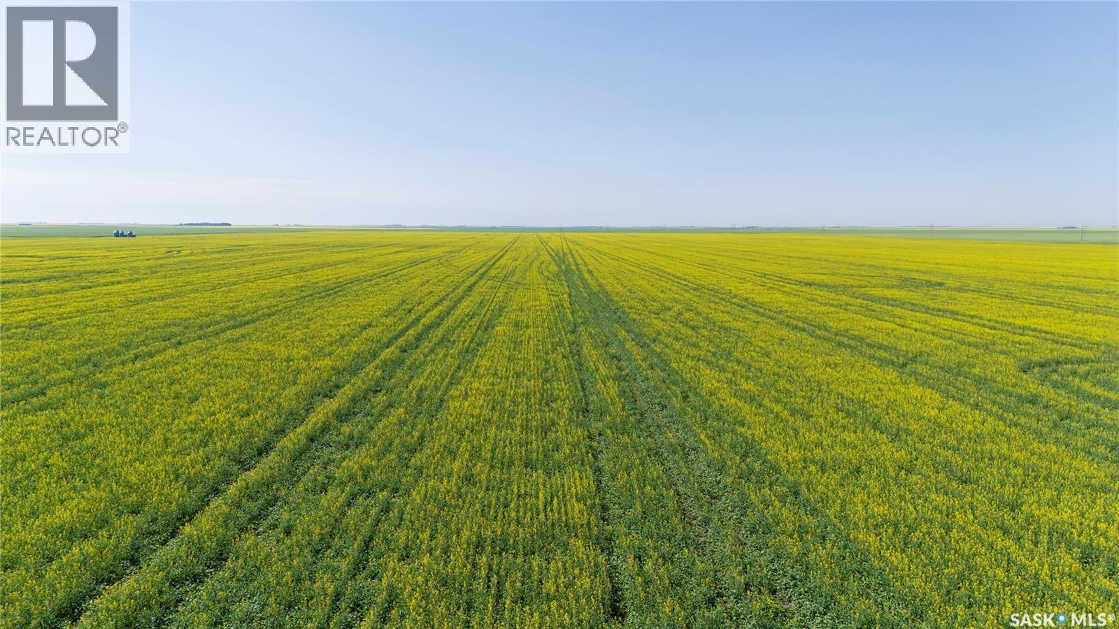 8 Quarters Premium Grainland Near Lewvan (Reimer), Scott Rm No. 98, Saskatchewan S0G 0S0 - Photo 2 - SK042413