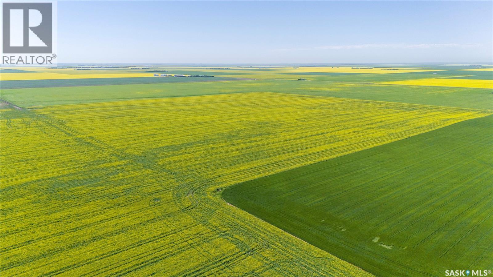 8 Quarters Premium Grainland Near Lewvan (Reimer), Scott Rm No. 98, Saskatchewan S0G 0S0 - Photo 3 - SK042413