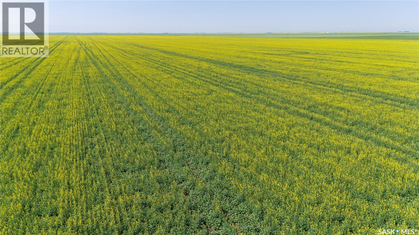 8 Quarters Premium Grainland Near Lewvan (Reimer), Scott Rm No. 98, Saskatchewan S0G 0S0 - Photo 6 - SK042413