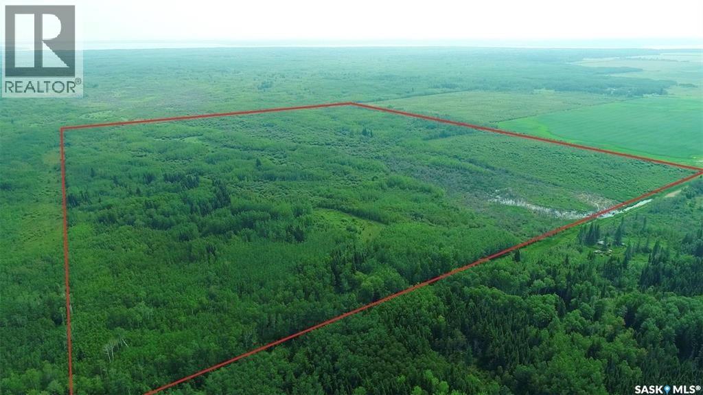 Recreational quarter of land N-E of White Fox, torch river rm no. 488, Saskatchewan