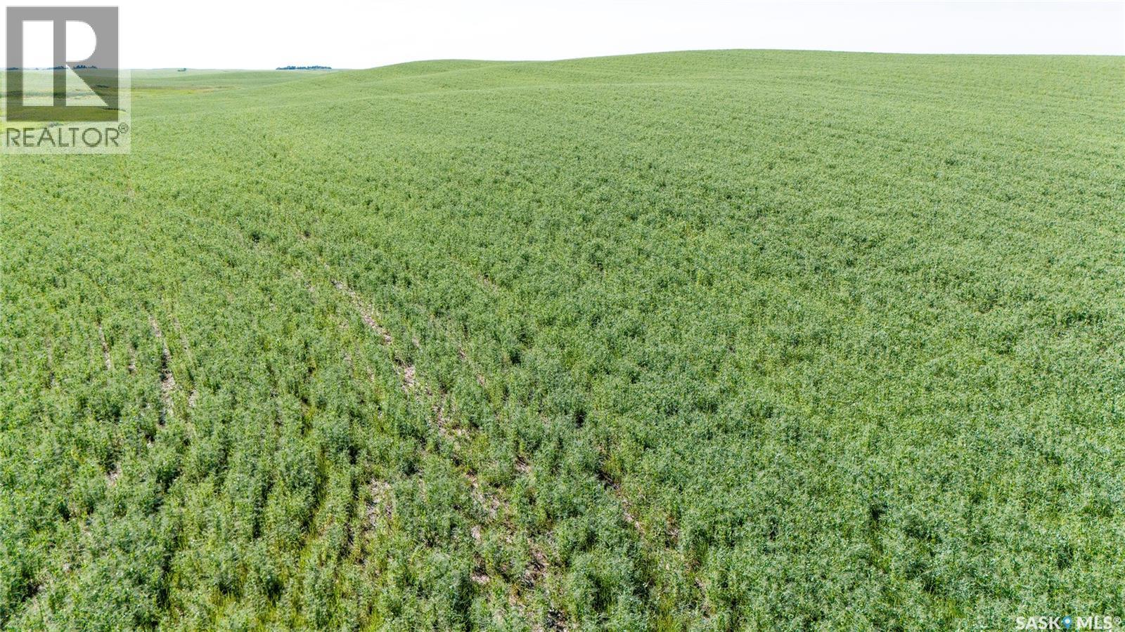 7 Quarters Grainland Near Coderre (Strieb), Sutton Rm No. 103, Saskatchewan S0H 0A5 - Photo 10 - SK043546