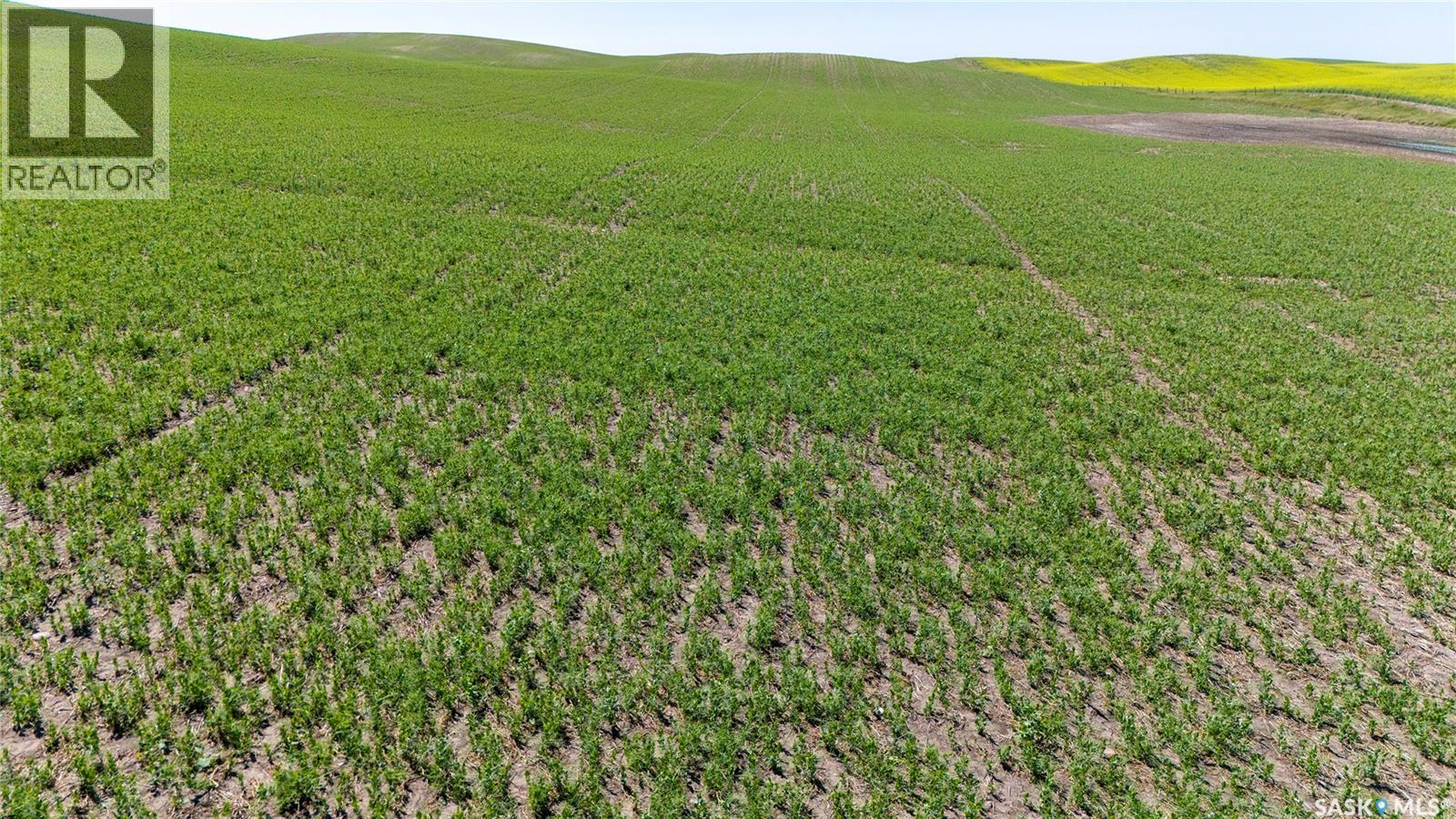 7 Quarters Grainland Near Coderre (Strieb), Sutton Rm No. 103, Saskatchewan S0H 0A5 - Photo 13 - SK043546
