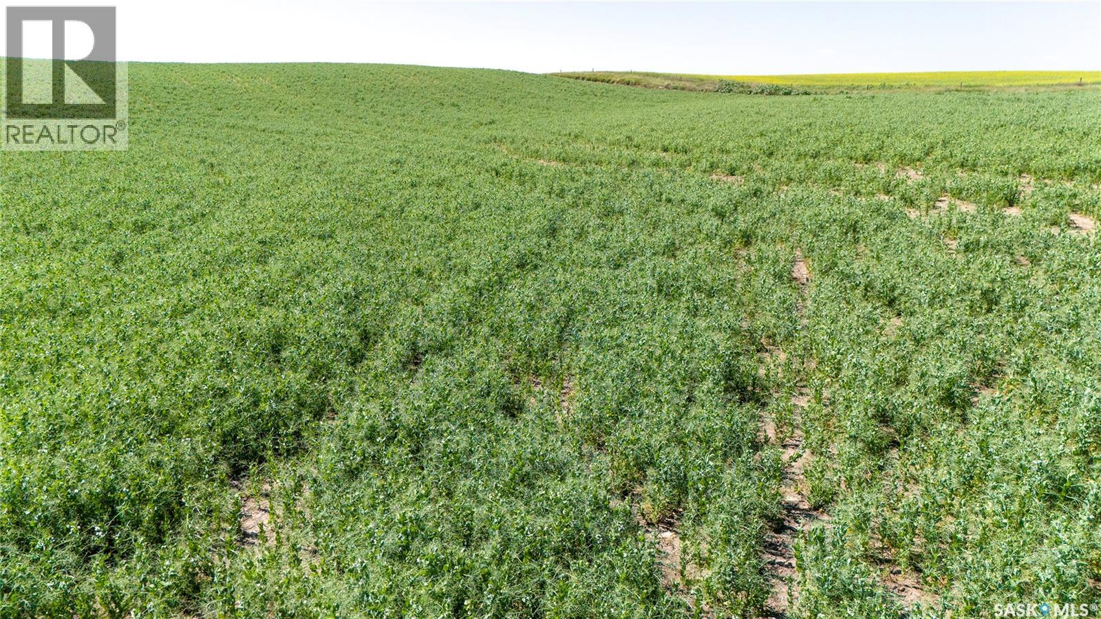 7 Quarters Grainland Near Coderre (Strieb), Sutton Rm No. 103, Saskatchewan S0H 0A5 - Photo 4 - SK043546