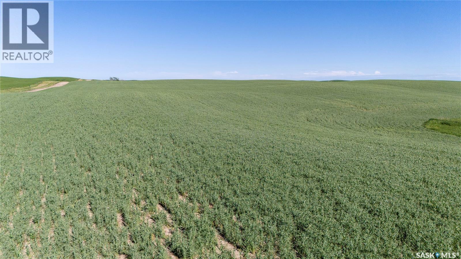 7 Quarters Grainland Near Coderre (Strieb), Sutton Rm No. 103, Saskatchewan S0H 0A5 - Photo 8 - SK043546
