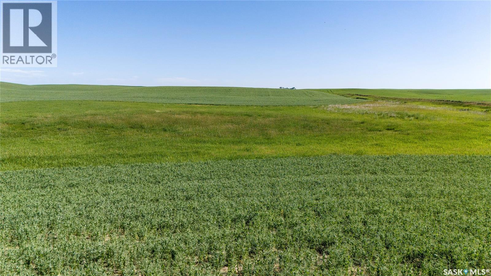 7 Quarters Grainland Near Coderre (Strieb), Sutton Rm No. 103, Saskatchewan S0H 0A5 - Photo 9 - SK043546