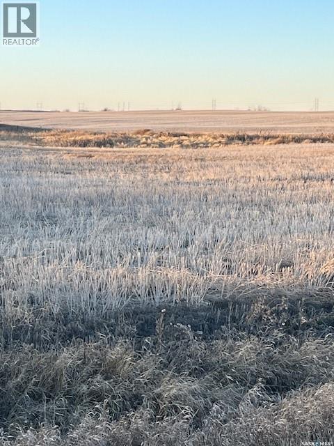 Fortnum Land Tender, Colonsay Rm No. 342, Saskatchewan S0K 0Z0 - Photo 3 - SK043823