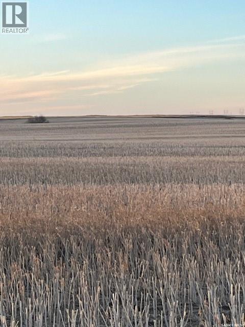 Fortnum Land Tender, Colonsay Rm No. 342, Saskatchewan S0K 0Z0 - Photo 6 - SK043823