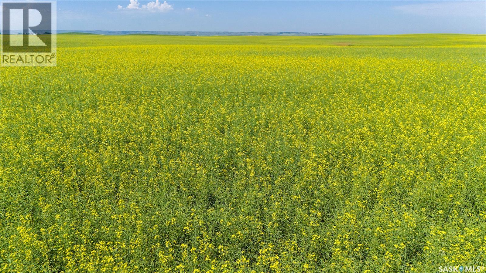 NE 13-13-25 W2 - BRIERCREST AREA, baildon rm no. 131, Saskatchewan