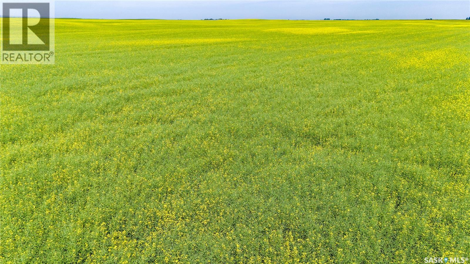 Ne 13-13-25 W2 - Briercrest Area, Baildon Rm No. 131, Saskatchewan S0H 0K0 - Photo 4 - SK043923