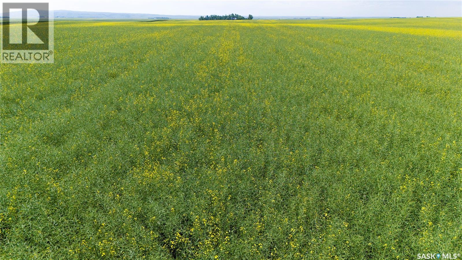 Ne 13-13-25 W2 - Briercrest Area, Baildon Rm No. 131, Saskatchewan S0H 0K0 - Photo 5 - SK043923