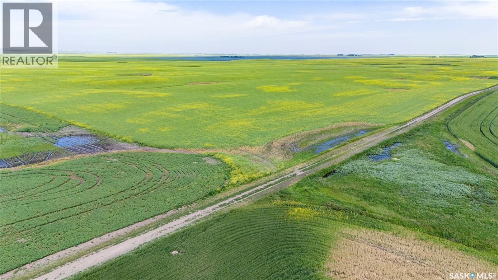 Ne 13-13-25 W2 - Briercrest Area, Baildon Rm No. 131, Saskatchewan S0H 0K0 - Photo 6 - SK043923