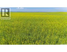 NE 13-13-25 W2 - BRIERCREST AREA, baildon rm no. 131, Saskatchewan