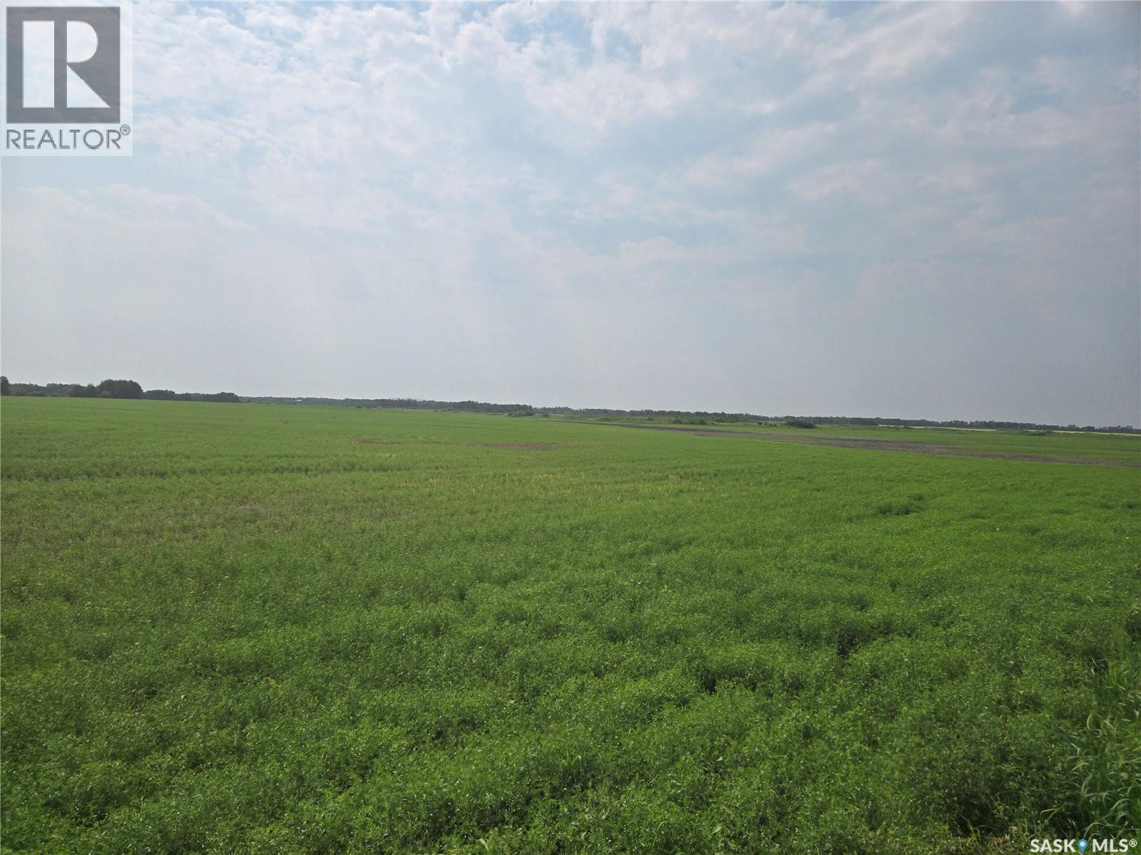 Roberts Farm, Cana Rm No. 214, Saskatchewan S3N 2W7 - Photo 75 - SK044037