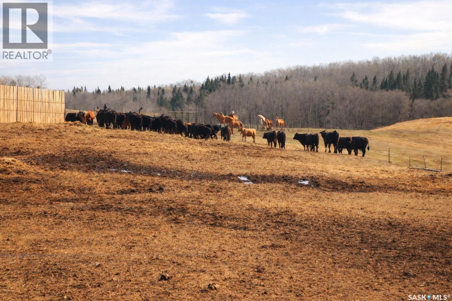 Sturgeon Valley Ranch, Shellbrook Rm No. 493, Saskatchewan S0J 2E0 - Photo 34 - SK044392