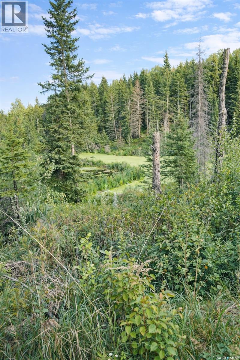 Sturgeon Valley Ranch, Shellbrook Rm No. 493, Saskatchewan S0J 2E0 - Photo 35 - SK044392