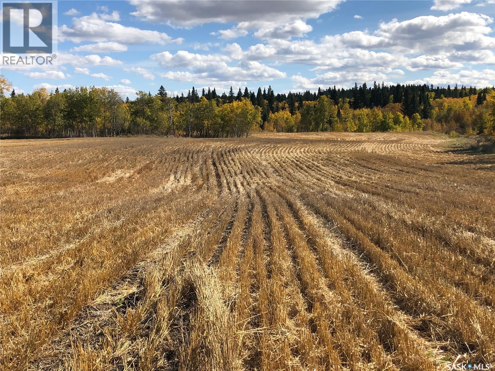 Sturgeon Valley Ranch, Shellbrook Rm No. 493, Saskatchewan S0J 2E0 - Photo 36 - SK044392