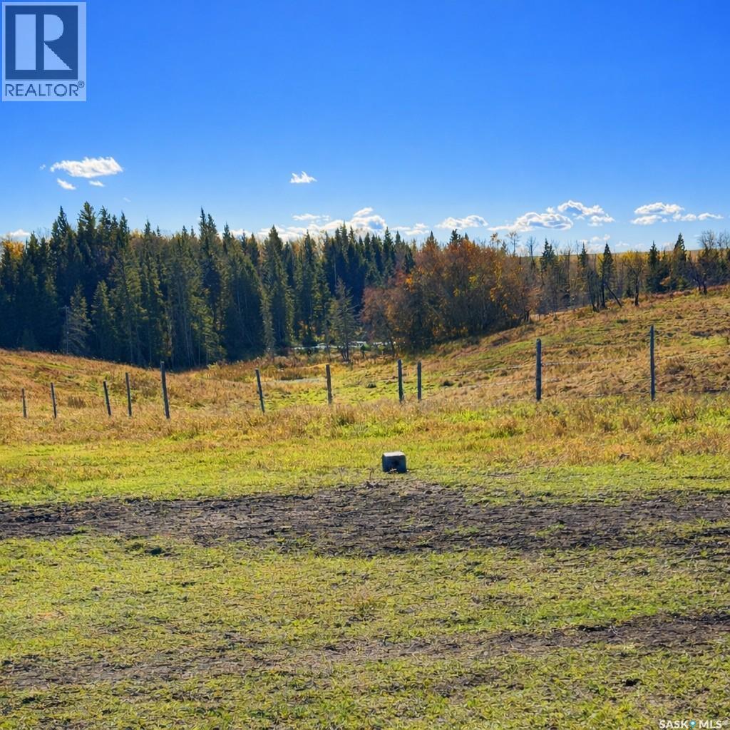 Sturgeon Valley Ranch, Shellbrook Rm No. 493, Saskatchewan S0J 2E0 - Photo 38 - SK044392