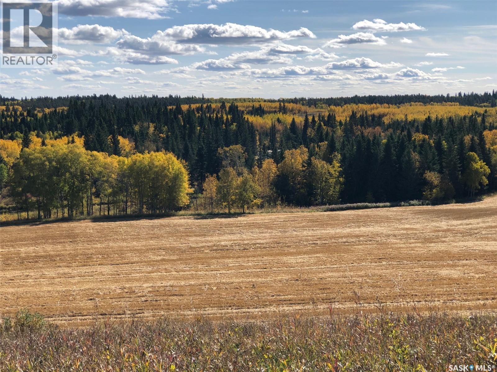 Sturgeon Valley Ranch, Shellbrook Rm No. 493, Saskatchewan S0J 2E0 - Photo 39 - SK044392