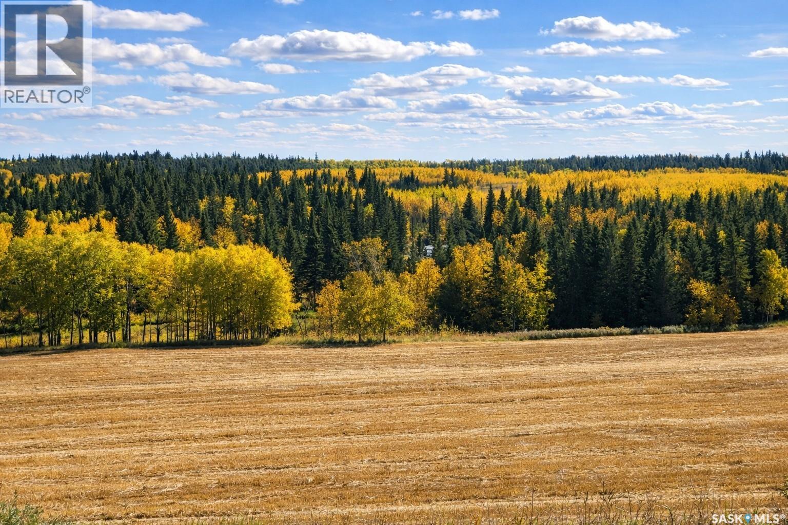 Sturgeon Valley Ranch, Shellbrook Rm No. 493, Saskatchewan S0J 2E0 - Photo 44 - SK044392