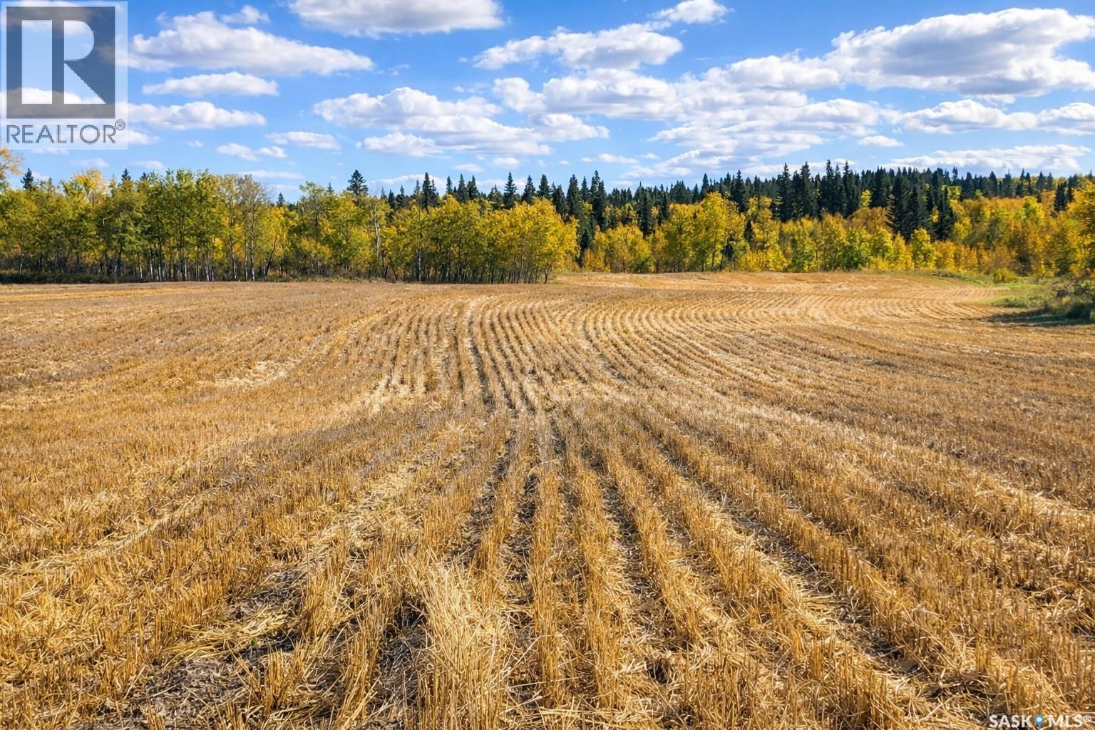 Sturgeon Valley Ranch, Shellbrook Rm No. 493, Saskatchewan S0J 2E0 - Photo 45 - SK044392