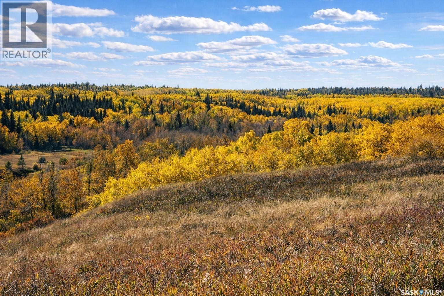 Sturgeon Valley Ranch, Shellbrook Rm No. 493, Saskatchewan S0J 2E0 - Photo 46 - SK044392