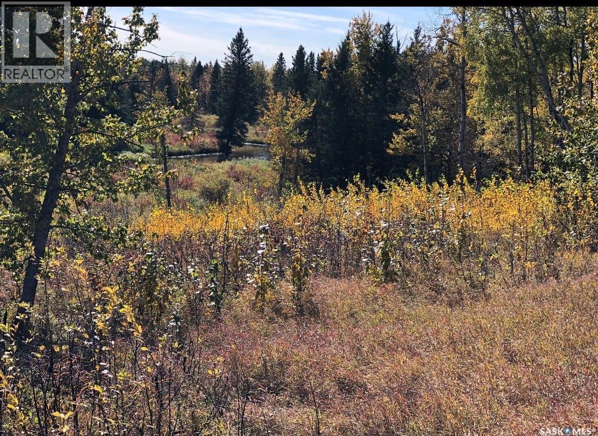 Sturgeon Valley Ranch, Shellbrook Rm No. 493, Saskatchewan S0J 2E0 - Photo 48 - SK044392