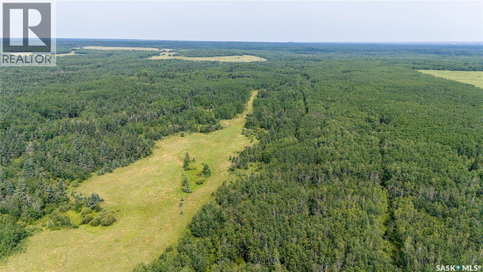 1685 Acres Mixed Use Land Near Spiritwood, Medstead Rm No.497, Saskatchewan S0J 2M0 - Photo 13 - SK044480