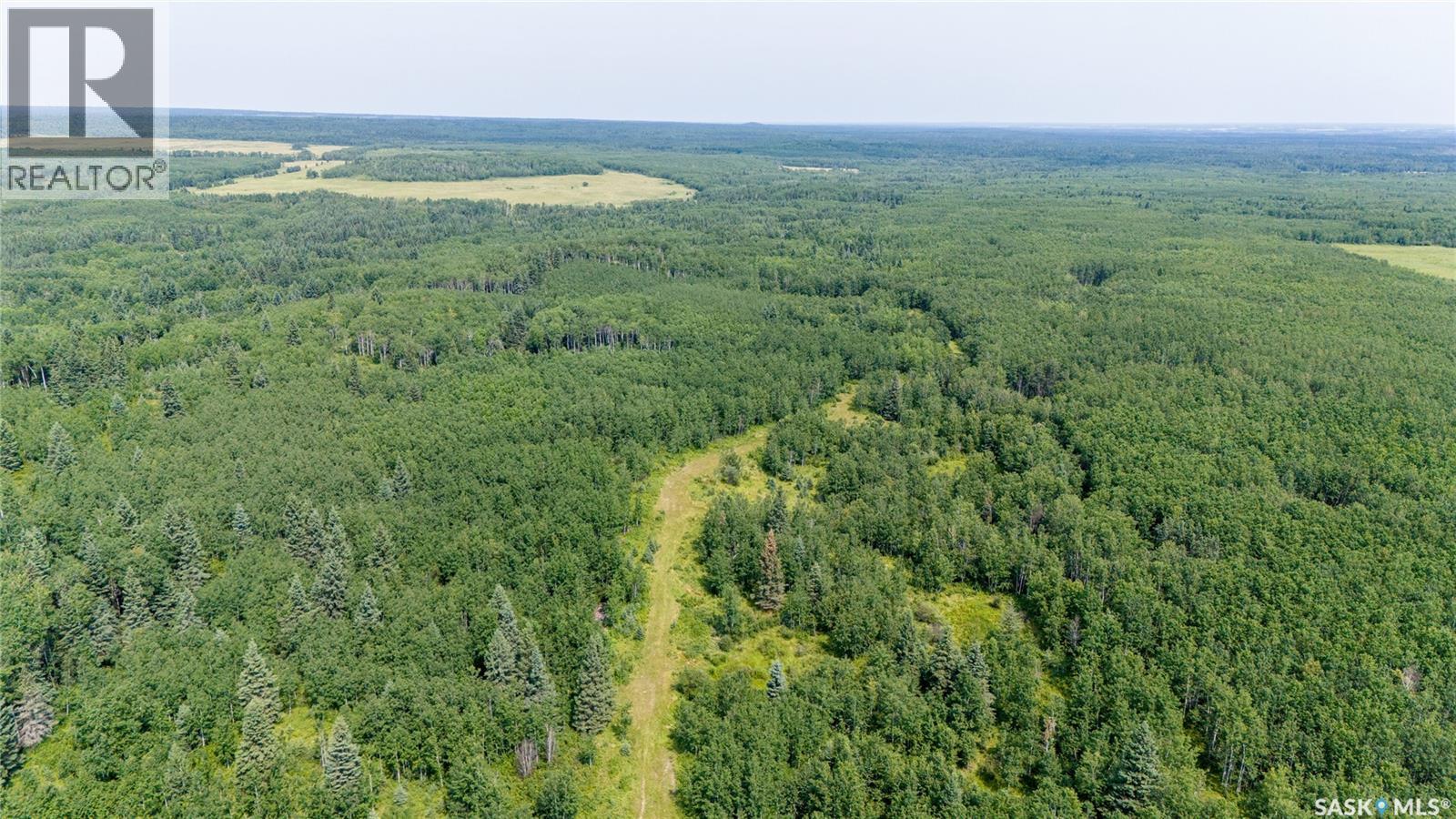 1685 Acres Mixed Use Land Near Spiritwood, Medstead Rm No.497, Saskatchewan S0J 2M0 - Photo 14 - SK044480