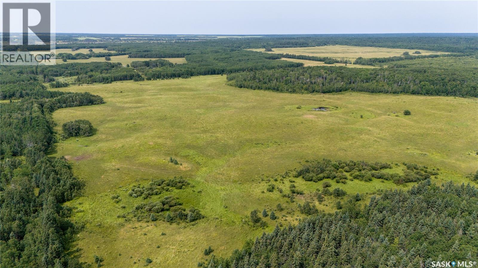 1685 Acres Mixed Use Land Near Spiritwood, Medstead Rm No.497, Saskatchewan S0J 2M0 - Photo 16 - SK044480
