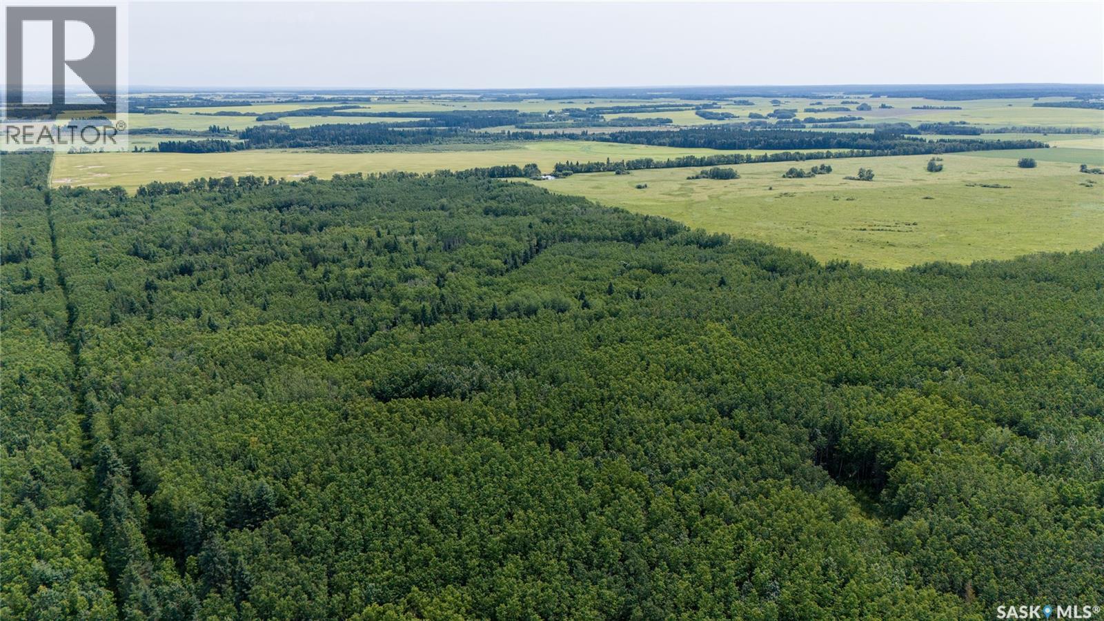 1685 Acres Mixed Use Land Near Spiritwood, Medstead Rm No.497, Saskatchewan S0J 2M0 - Photo 17 - SK044480