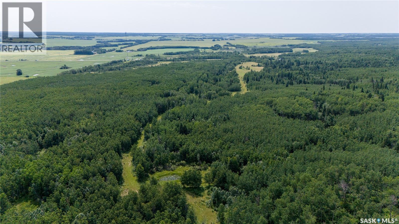 1685 Acres Mixed Use Land Near Spiritwood, Medstead Rm No.497, Saskatchewan S0J 2M0 - Photo 18 - SK044480