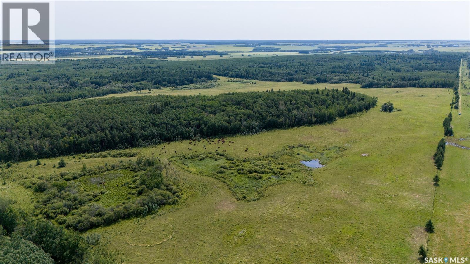1685 Acres Mixed Use Land Near Spiritwood, Medstead Rm No.497, Saskatchewan S0J 2M0 - Photo 23 - SK044480