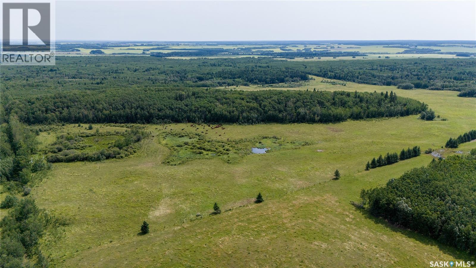 1685 Acres Mixed Use Land Near Spiritwood, Medstead Rm No.497, Saskatchewan S0J 2M0 - Photo 24 - SK044480