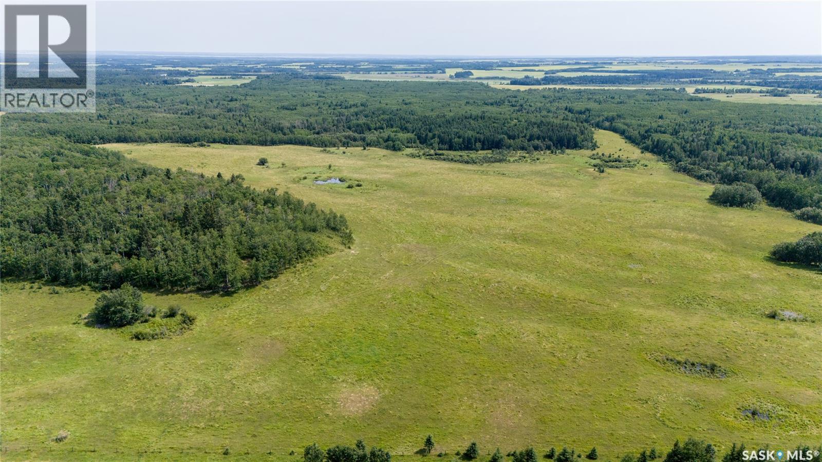 1685 Acres Mixed Use Land Near Spiritwood, Medstead Rm No.497, Saskatchewan S0J 2M0 - Photo 26 - SK044480
