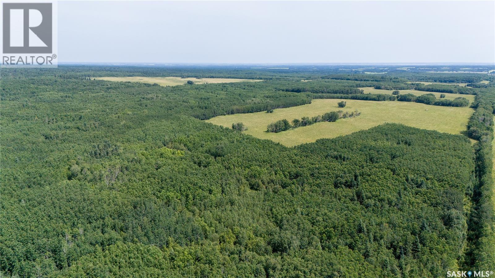 1685 Acres Mixed Use Land Near Spiritwood, Medstead Rm No.497, Saskatchewan S0J 2M0 - Photo 27 - SK044480