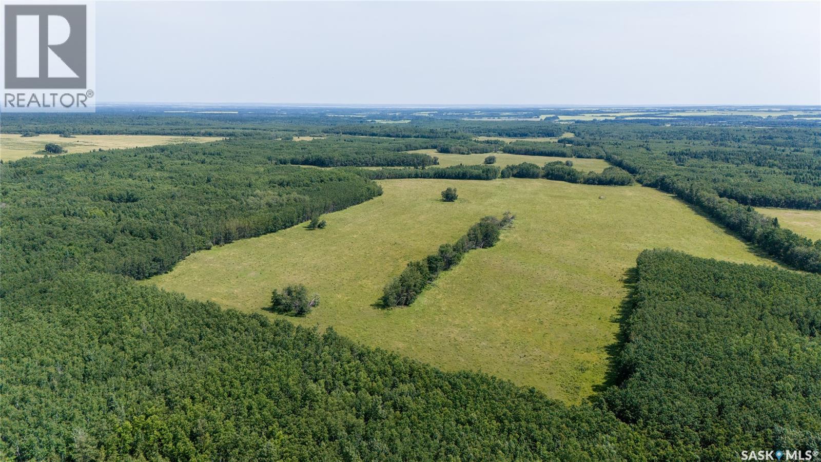 1685 Acres Mixed Use Land Near Spiritwood, Medstead Rm No.497, Saskatchewan S0J 2M0 - Photo 28 - SK044480