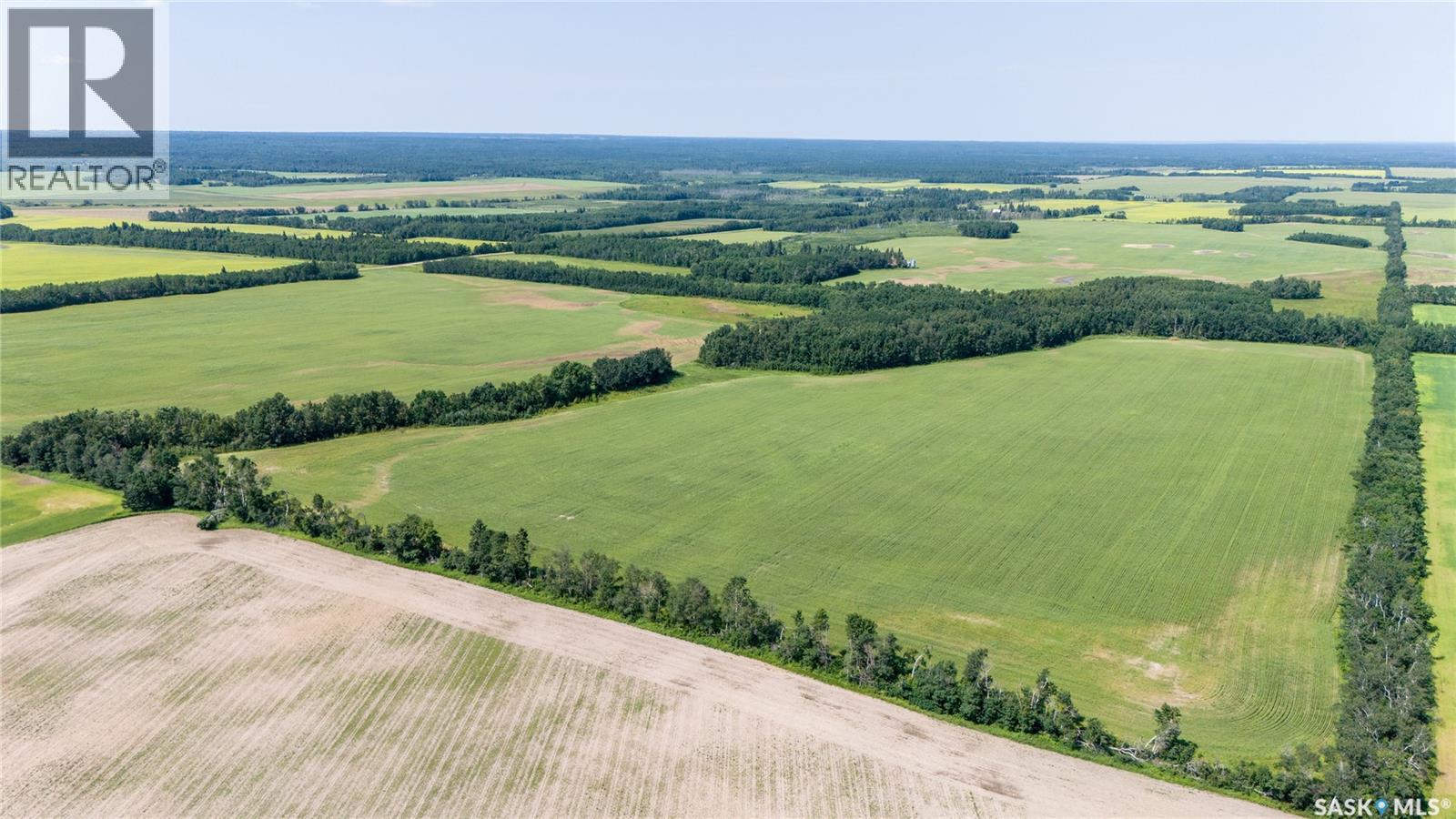 1685 Acres Mixed Use Land Near Spiritwood, Medstead Rm No.497, Saskatchewan S0J 2M0 - Photo 31 - SK044480
