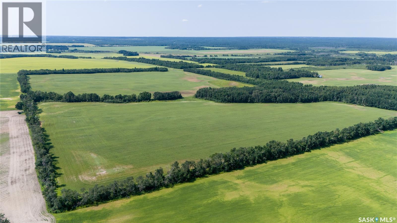 1685 Acres Mixed Use Land Near Spiritwood, Medstead Rm No.497, Saskatchewan S0J 2M0 - Photo 32 - SK044480