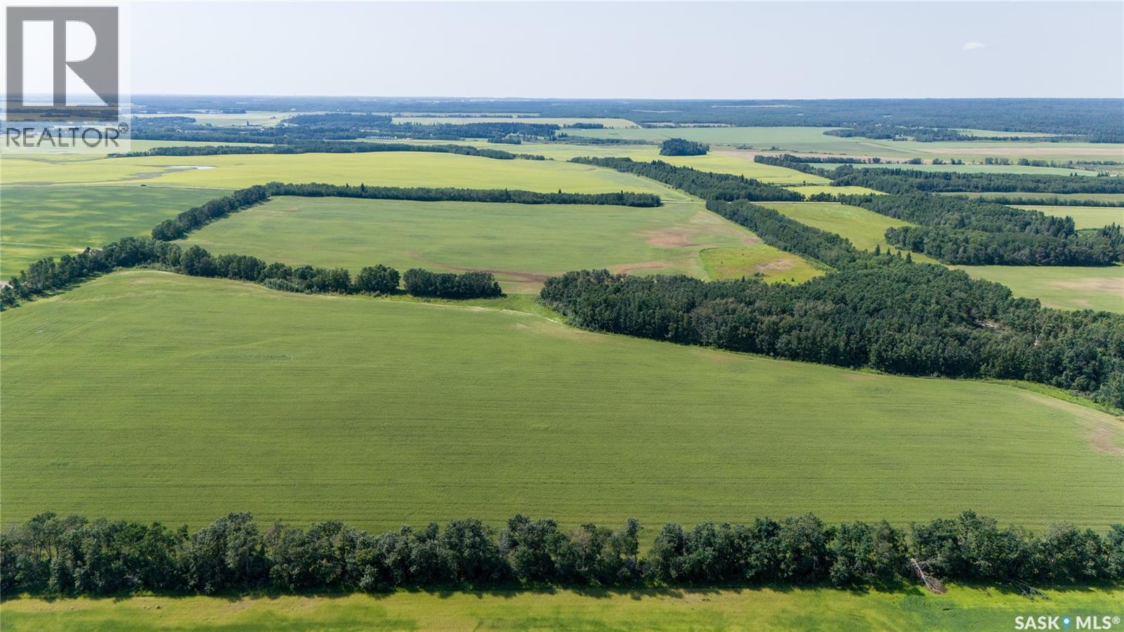 1685 Acres Mixed Use Land Near Spiritwood, Medstead Rm No.497, Saskatchewan S0J 2M0 - Photo 33 - SK044480