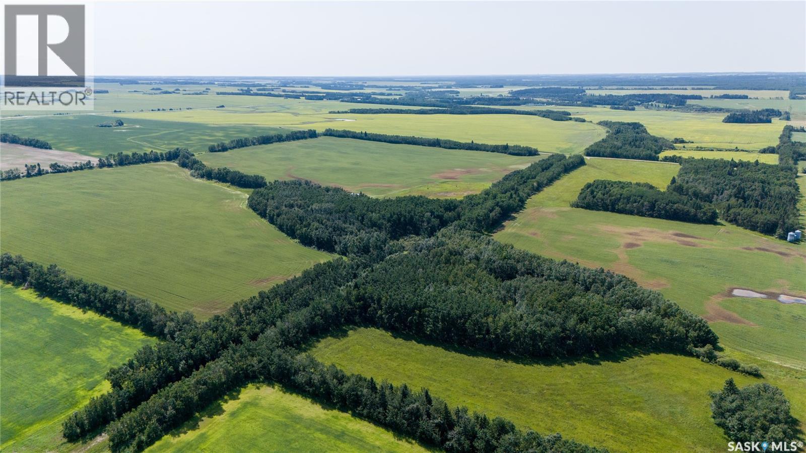 1685 Acres Mixed Use Land Near Spiritwood, Medstead Rm No.497, Saskatchewan S0J 2M0 - Photo 34 - SK044480