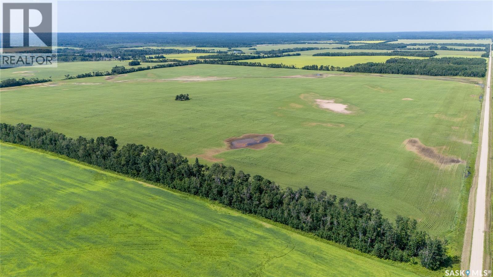1685 Acres Mixed Use Land Near Spiritwood, Medstead Rm No.497, Saskatchewan S0J 2M0 - Photo 39 - SK044480