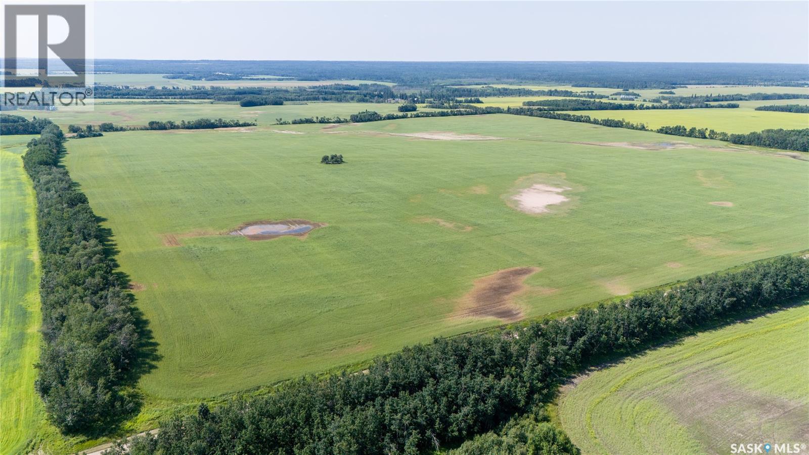 1685 Acres Mixed Use Land Near Spiritwood, Medstead Rm No.497, Saskatchewan S0J 2M0 - Photo 40 - SK044480